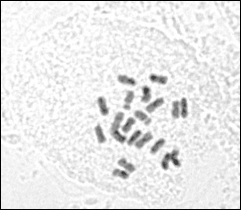 Β, no 12.