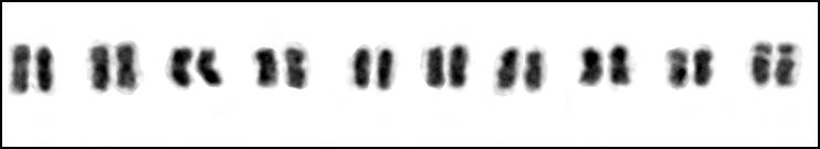 Α m m m m m m/sm m m/sm sm m/sm-sat Β m m m m sm m m m m/sm m/sm-sat Γ m/sm m