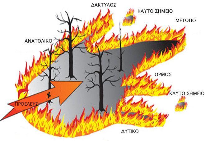 1.Πως γεννιέται μία δασική πυρκαγιά; Ανατομία μιας δασικής πυρκαγιάς Οι δασικές πυρκαγιές μπορεί να ξεκινήσουν μέσα σε μερικά δευτερόλεπτα και από οτιδήποτε μπορεί να δημιουργήσουν μια σπίθα.