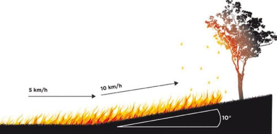 7.Πόσο γρήγορα εξαπλώνεται μία πυρκαγιά; Μία πυρκαγιά εξαπλώνεται γρήγορα με ταχύτητα ανέμου μέχρι και 80 χλμ/ώρα.