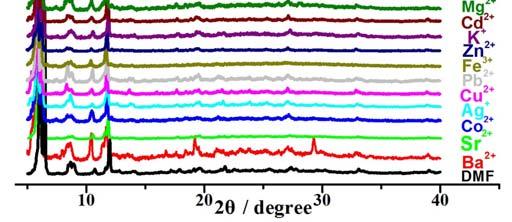 2+, Ba 2+, Cr 3+, Ca 2+, Sr 2+, Eu 3+, Al 3+, Ag +, Fe 3+ ) DMF
