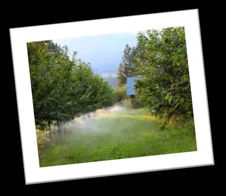 Τίτλος Έργου: Irrigation system optimization in fruit farming for adaptation to climate change Χώρα/ περιοχή: Ιταλία Emila Romagna Διάρκεια: 1/4/16-31/12/18 Προϋπολογισμός: 174,331 Πρόβλημα: Οι