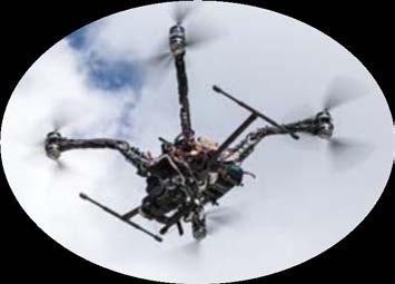 φωτογραφίες drone, ιδιαίτερα της αγριοβρώμης στις καλλιέργειες των σιτηρών.