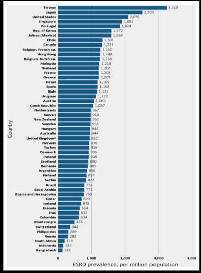 Prevalence of treated ESRD per million