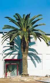 ANNUAL REPORT 2002 Loukia Alavanou ñ210 6718072 96-104 Iera Odos, 104 47 thens, Greece, Tel: