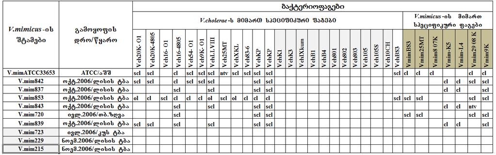 V. mimicus-is 10 Stami Semowmda fagomgrznobelobaze, rogorc V. mimicus-is aseve V. cholerae O1-is da V. choleraeara-o1-is mimart sepcifikur baqteriofagebze.