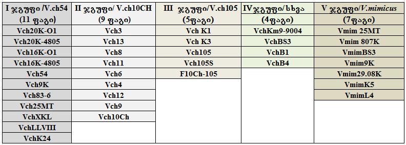 Vch105, Vch54, Vch10CH, iseve, rogorc lizisuri speqtris mixedvit, serologiuri analizidan gamomdinare ertmanetisgan gansxvavebuli fagebi armocnda.