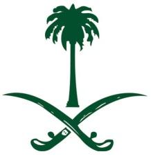 المملكة العربیة السعودیة مدینة الملك عبدالعزیز للعلوم والتقنیة إن المشرف العام على مكتب البراءات السعودي وبموجب أحكام نظام براءات الاختراع والتصمیمات التخطیطیة للدارات المتكاملة والا صناف النباتیة