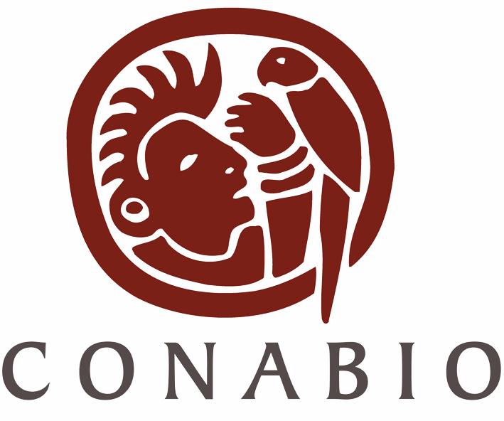 Anexo 4 Listado de fauna invertebrada y vertebrada en Sontecomapan, Veracruz.