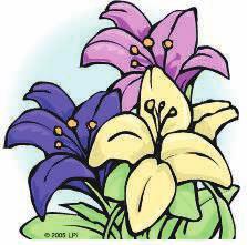Easter Flower Donations In Memory/Honor of: * Marn Douros by the Douros Family Michael Marn, M/M Johnnie Gasper by Mrs. Flora Marn Gibes, Pauline Samorodny, Annee Huon by M/M Pay Burgess, Fr.