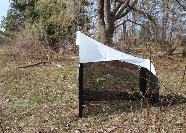 BRONTE CREEK PROVINCIAL PARK One Malaise trap was deployed at Bronte Creek Provincial Park in 2014 (43.4023, -79.7617, 135m ASL; Figure 1).