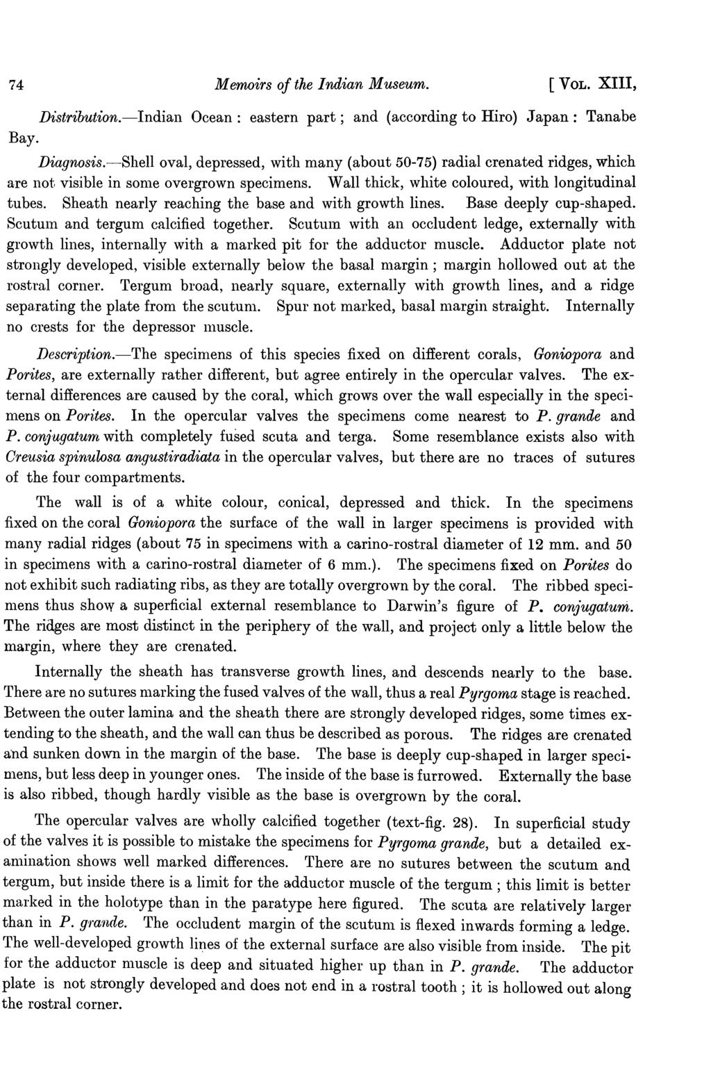 74 Memoirs of the Indian Museum. [VOL. XIII, Distribution.-Indian Ocean: eastern part; and (according to Hiro) Japan: Tanabe Bay. Diagnosis.