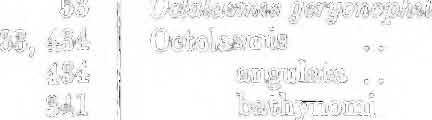 xvii Mugil-oontd. SUM-anens 8 tade,m ug,il caeru.leo"ld8culatus -labiosus.. macrochilus.. BUnaanenris.