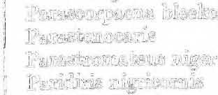 . 309,821 823,883,a84 822 388, 384 34'6 212,214 214:, 216 214 210 223 132 ]32 432,439 342 400 400 400 400 47, 53, 76 36 367 417,440,442 9, 16 9, 15 212,220 222 221 38'1 222.