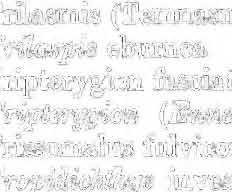 T'pbodytes gerriphagus 431, 4:89, 443 T<>riricidae 434 Toxotes jaculato 888 Toxotidae 368 Traehinotus blochi 862 Trachynotus oofjatus