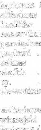 195, 198 bai}illifer.. 185, 195 euacanthus 191, 193, 195, 198, 199 parvispinens ] 91, 193, 195, 198 paulseni 185 salinus 104, 19l, 193, 195, 198 simibis 195 ~. 88 stewa.