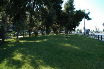 Το Πάρκο Απόλλωνος αποτελεί χώρο πρασίνου στο