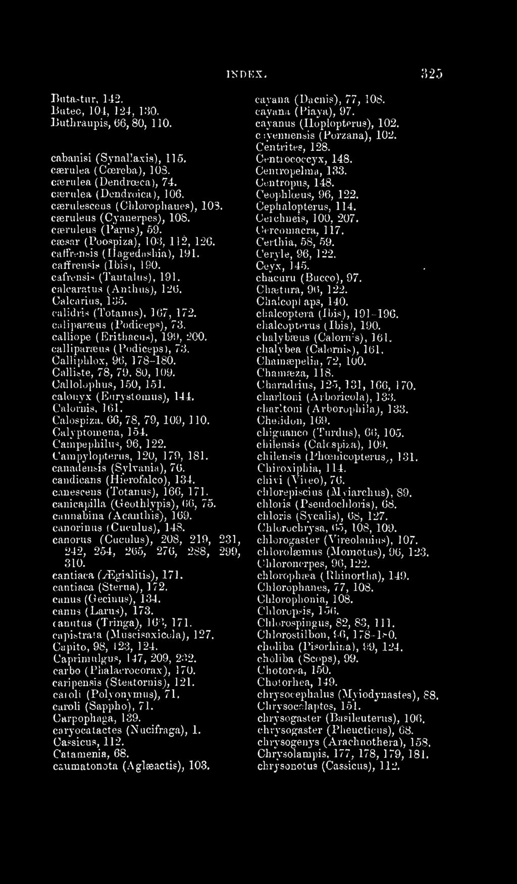 cafrensis (Tautalus), 191. calcaratus (Anthiisj, 126. Calcarius, lo.5. calidri-i (Totaiuis), 167, 172. ciili]>ar;tus (l'odiceps), 73. calliope (Erithacus), 199, 200, callipaneus (Podiceps), 7o.