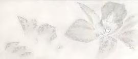 Elegance Gris G533 Decor