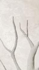 GRIS/SEDANO BLANCO/DECOR
