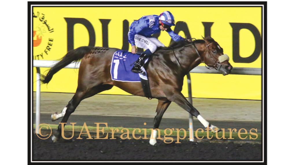 HAATHEQ Bay 2007 by SEEKING THE GOLD ex ALSHADIYAH by DANZIG STAKES WINNER OF 11 RACES, 622,450 - RATED 112 BY TIMEFORM ANNUAL ΤΑ ΠΟΙΟ ΒΑΣΙΚΑ ΚΡΙΤΗΡΙΑ ΣΤΗ ΑΠΟΦΑΣΗ ΓΙΑ ΣΩΣΤΗ ΕΠΙΛΟΓΗ ΕΠΙΒΗΤΟΡΑ: