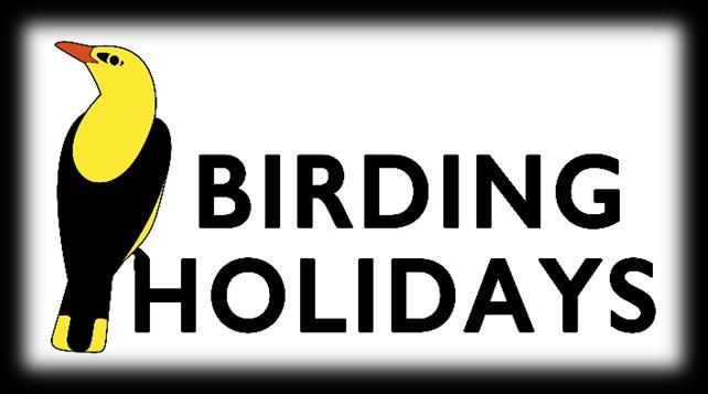 Birdwatching Tours & other Nature Guiding Services in