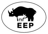 COMMON NAME SCIENTIFIC NAME EEP GROUP 01.01.06 ARRIVED BORN NEO NATAL DEATH INVERTEBRATES African Land Snail Achatina marginata 0.0.15 5 0.0.10 Imperial Scorpion Pandinus imperator 1.1.17 1.1.17 Redback Spider Latrodectus hasselti 0.