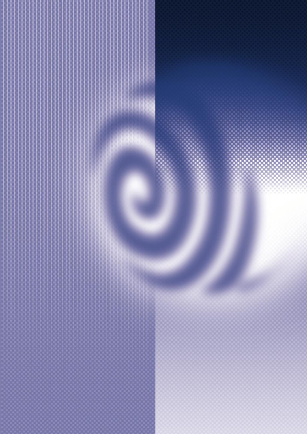 2005 4(5)