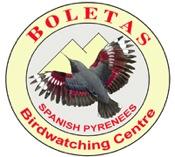 more Birdwatching Holidays in Spain, Morocco & BOLETAS Birdwatching centre 22192 Loporzano (Huesca) Spain tel/fax 00 34 974 262027 or 01162 889318 e.mail: josele@boletas.