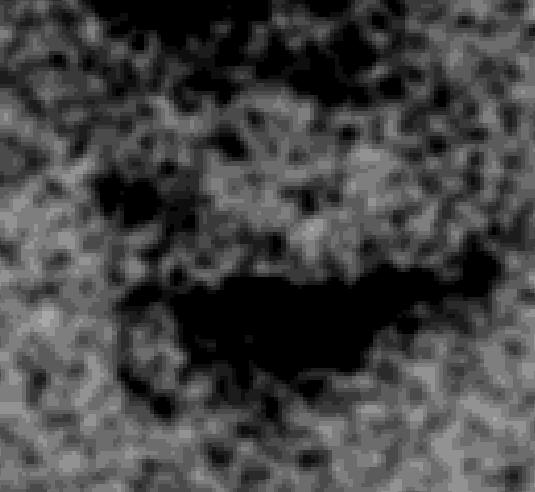 NGC  6