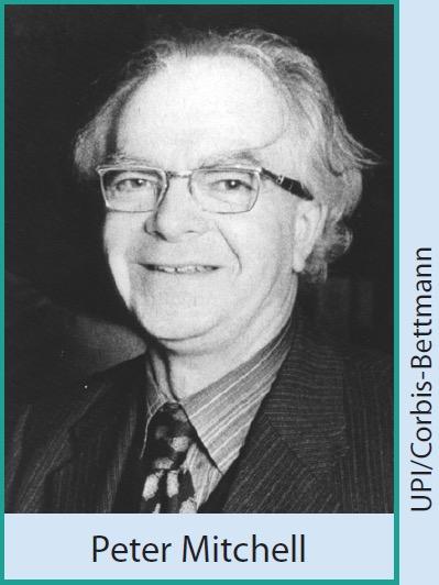 ΠΕΙΡΑΜΑ ΣΤΑΘΜΟΣ - Ι Coupling of Phosphorylauon to Electron and Hydrogen Transfer by a Chemiosmouc Type of Mechanism Dr. Peter Mitchel University of Edinburgh, Edinburgh, Scotland Nature, 1961, vol.