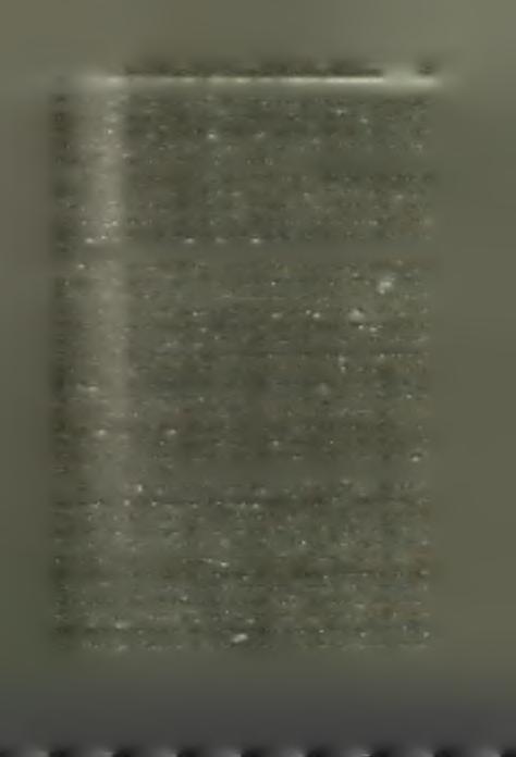 Στυλιανού Πελεκανίδη : Άνασκαφή Οκταγώνου Φιλίππων 85 του κογχωτοΰ άνοίγματος μικράς ιωνικής βάσεως κιονίσκου καί ή κατά χώραν ΰπαρξις έπί τής κόγχης χυτοϋ μολύβδου σχήματος ρόδακος, μεγέθους δ δσον