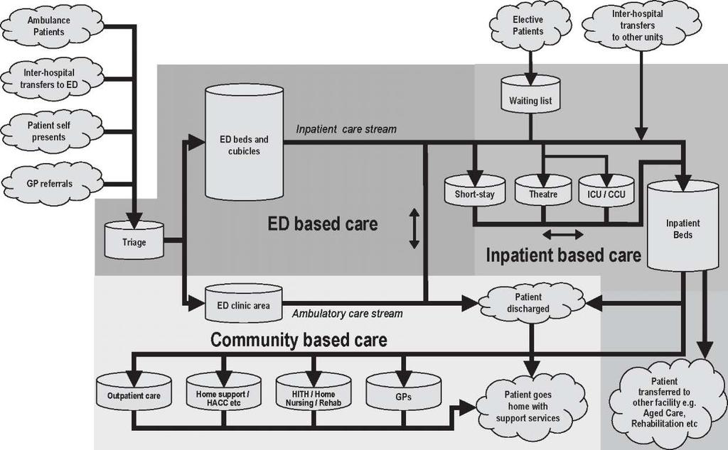 FIGURE 2F: HIGH LEVEL VIEW OF PATIENT FLOW Source: Iridium