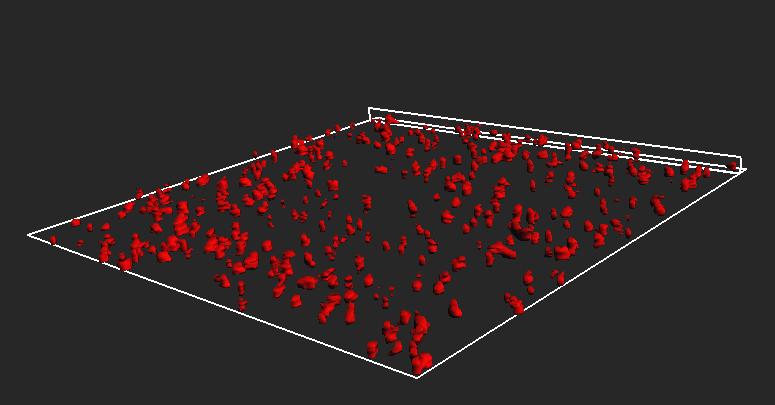 Biofilm