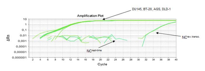 hsa-mir-34a για τις κυτταρικές σειρές DU145, ΒΤ-20, AGS και DLD-1. Επισημαίνονται και τα control δείγματα που χρησιμοποιήθηκαν.