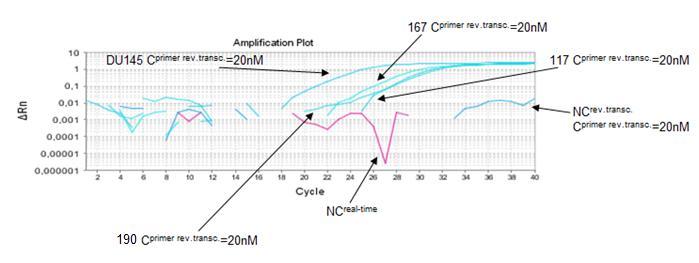ασθενών με επιληψία και για την κυτταρική σειρά DU145. Επισημαίνονται με βέλη οι συγκεντρώσεις των RT εκκινητών, καθώς και τα control δείγματα που χρησιμοποιήθηκαν. Εικόνα 40.
