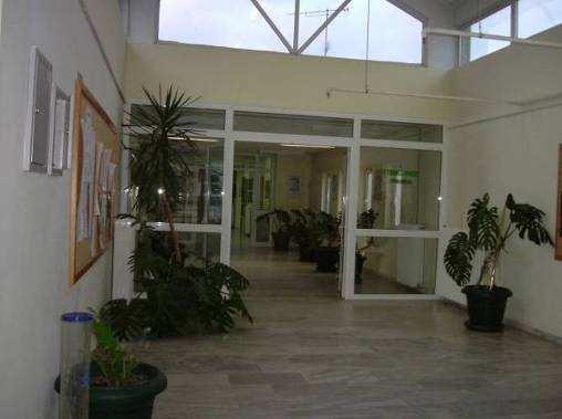 αίθριο.Πασχαλίδου) (21/10/2011) Εικόνα 1.9.