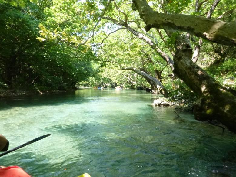 Παραγωγή φυτευτικού υλικού (συλλογή, οργάνωση και λειτουργία φυτωρίου).