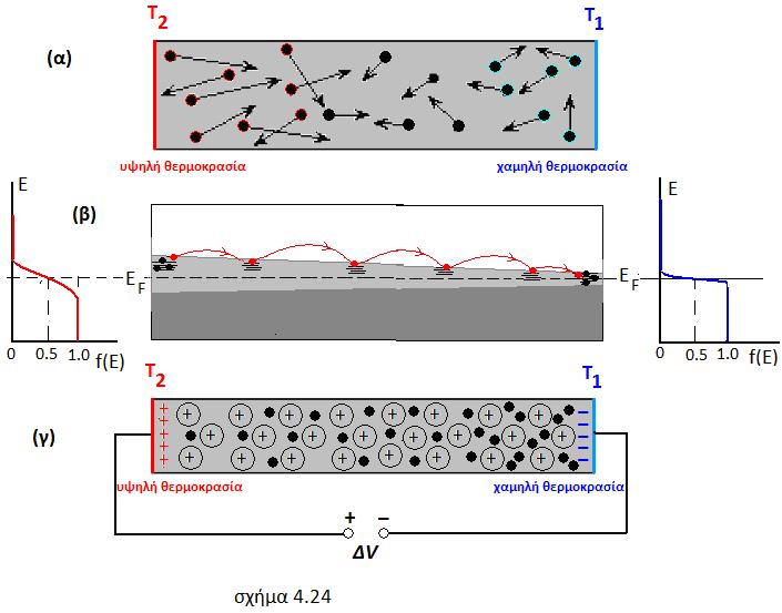 περαιτέρω κίνησή τους. Δημιουργείται έτσι διαφορά δυναμικού ΔV μεταξύ των άκρων με θετικότερο δυναμικό στο θερμό άκρο.