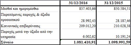 17. Κατηγορίες και αμοιβές προσωπικού Ο μέσος όρος των απασχολούμενων ανά
