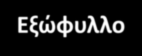 Εξώφυλλο Στο εξώφυλλο του Επιχε
