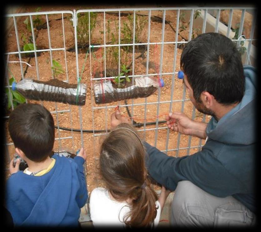 δέντρα, λαχανικά στην αυλή και