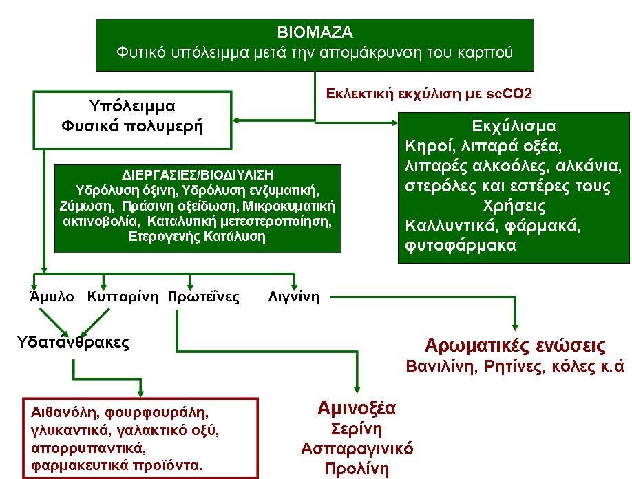 Σχήµα 2. Βιοδιΰλυση βιοµάζας Η βιώσιµη βιοµηχανική ανάπτυξη προωθείται επίσης από την εκµετάλλευση αποβλήτων µετά την βιοµηχανική κατεργασία του πρωτογενούς προϊόντος.