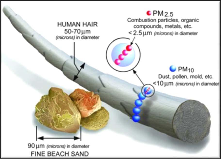 Τοξική δράση σωματιδίων Νανοσωματίδια (nanoparticles), με διάμετρο <100 nm (ultrafine) Aναπνεύσιμα