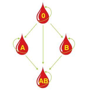 Μια από τις ομάδες αίματος θεωρείται παγκόσμιος δέκτης (πανδέκτης). Ποια μάδα είναι αυτή; 7.