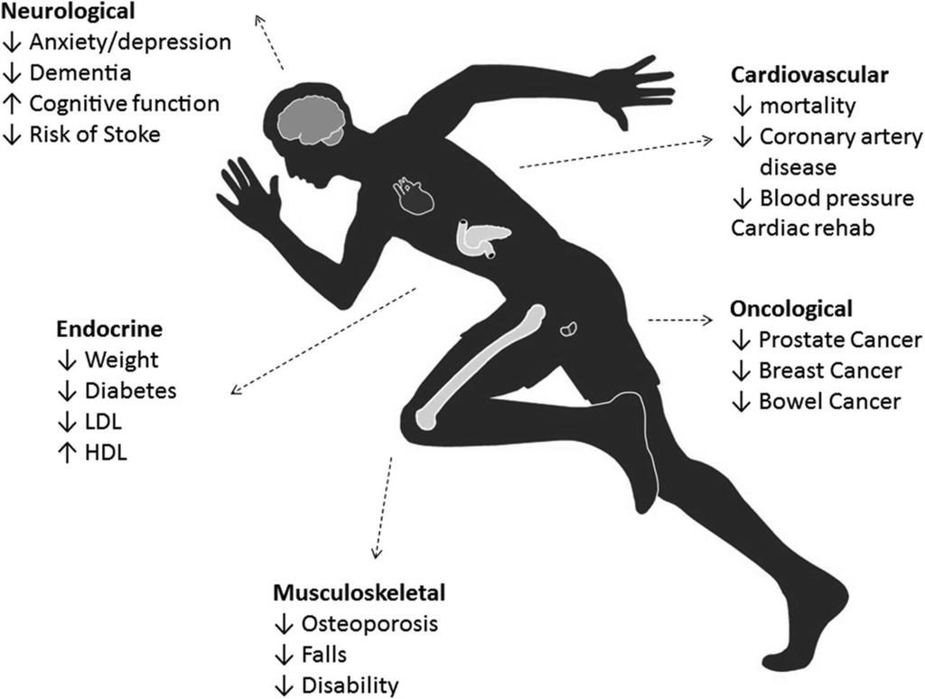 From: Exercise and the heart: the good, the bad, and the ugly Eur Heart J. 2015;36(23):1445-1453. doi:10.