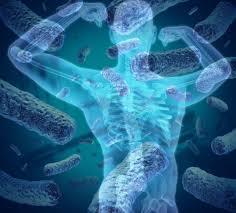 Ανθρώπινο μικροβίωμα: το σύνολο των μικροοργανισμών που αποικίζουν το ανθρώπινο σώμα (ευκαρυωτικοί,