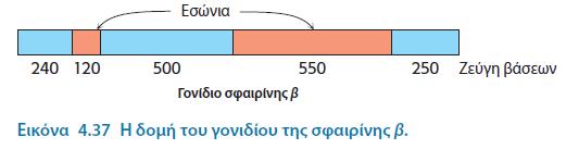 4.7 Τα περισσότερα ευκαρυωτικά γονίδια