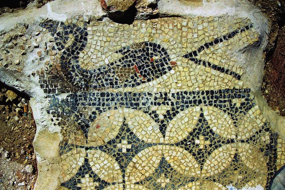 εδάφους στη θέση Κατουνίστρα, 4.200 μ. νοτιοανατολικά της πόλης του Λουτρακίου που ταυτίζεται με τα αρχαία Θερμά, κράτησαν χρόνια.