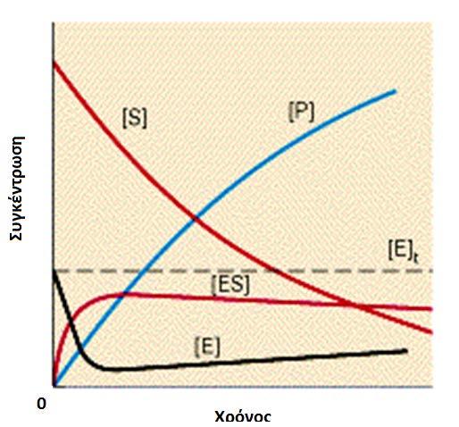 [S] συγκέντρωση υποστρώματος [E] συγκέντρωση ελεύθερου ενζύμου [ES]